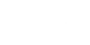 logo puig
